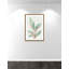 Gingembre II - reproduction d'art-55542002-55542001
