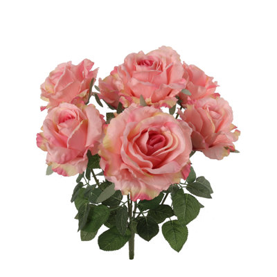 Rosier x 7 fleurs
