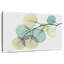 Eucalyptus Harnek Turq-107876141
