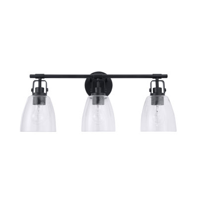 Afeni Modern Farmhouse 3-Light Vanity Light