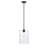 1 lumière 9 po Mini-luminaire suspendu en nickel satiné-1306700410