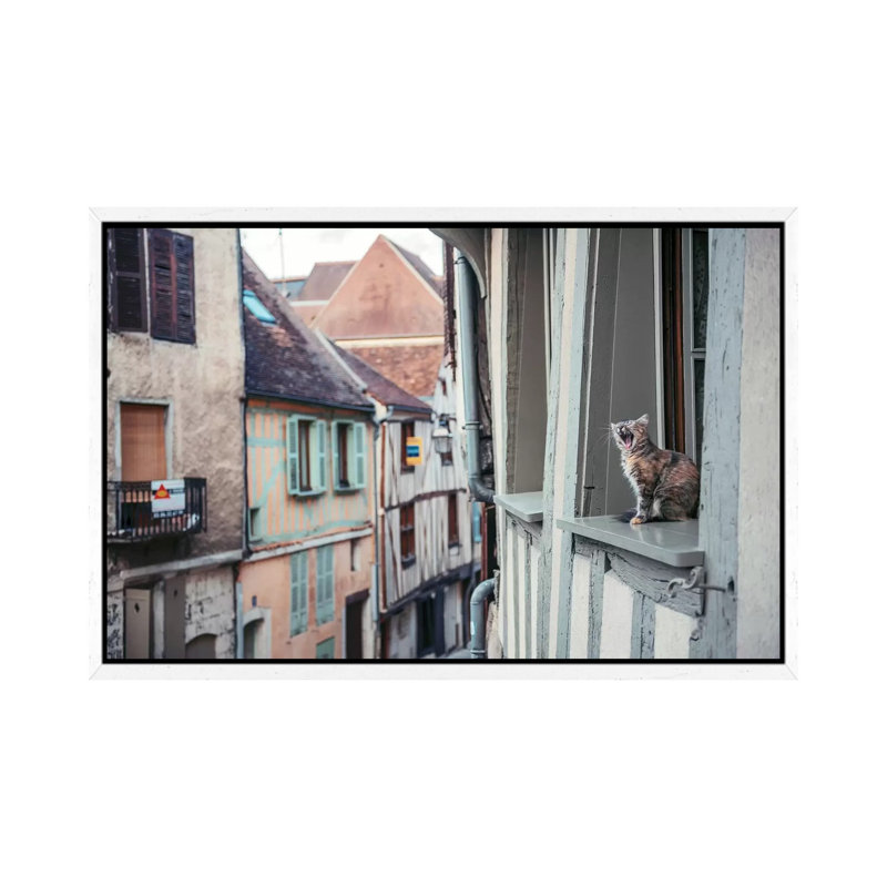 Territory by Timothy Entropy - Print on Canvas, 66.04cm H x 101.6cm W x 3.81cm D, White Floater Framed