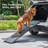 Folding Dog Ramp for Car with Nonslip Surface-1450696635