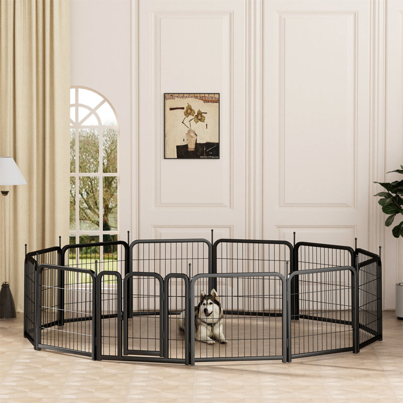 Parc pour chien extérieur