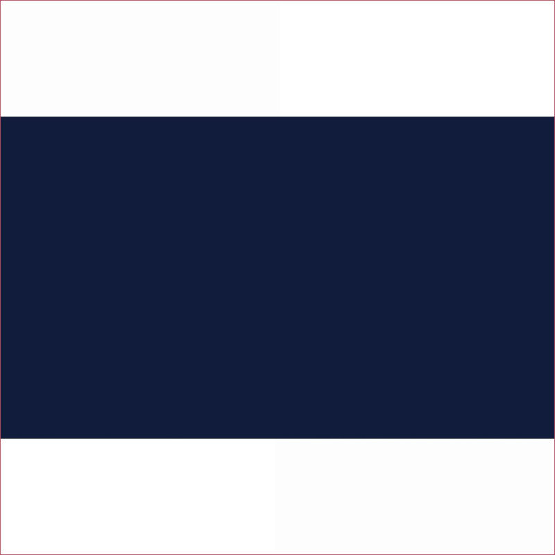 Daybeds with Lift-Up Trundle, Classic Navy Blue Metal Frame for Bedroom | Navy Blue | Metal, Navy Blue Corduroy
