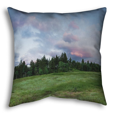 Throw Pillow, Day End by Scott Barlow