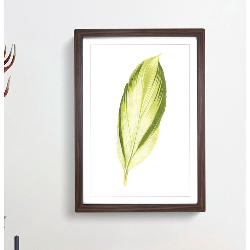 Pretty Green Leaf by Benjamin Fawcett - Framed Print, Walnut, 76cm H x 50cm W x 2cm D