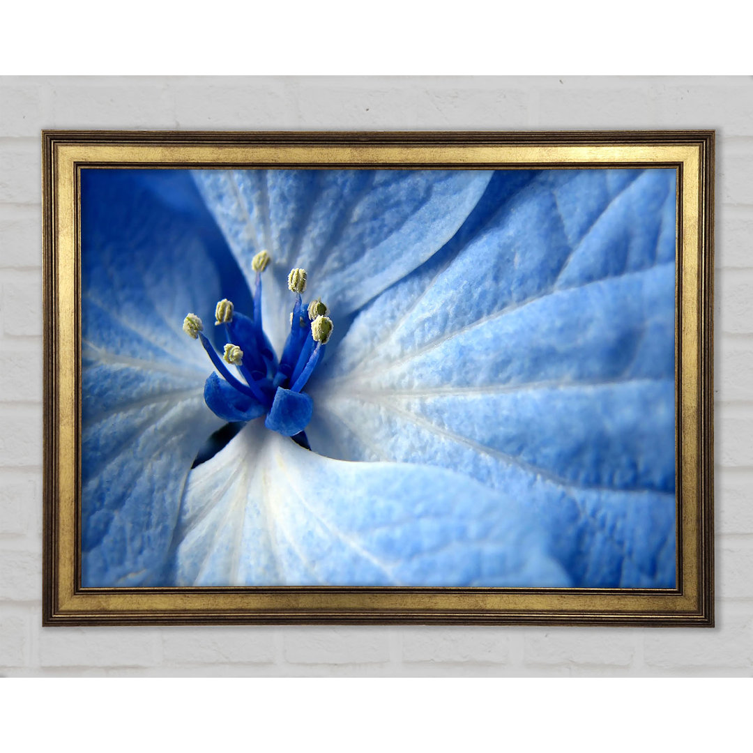 Soft Blue Flower - Druck