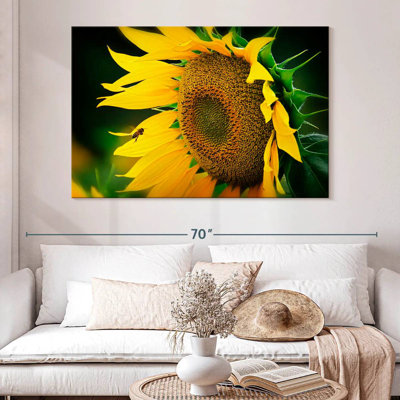 Abeille Harnek attirée par le tournesol