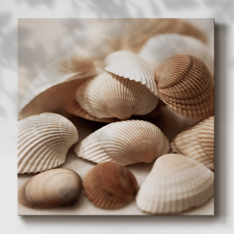 «Beach Treasures I» sur toile, H 16 po x l 16 po x P 1,5 po