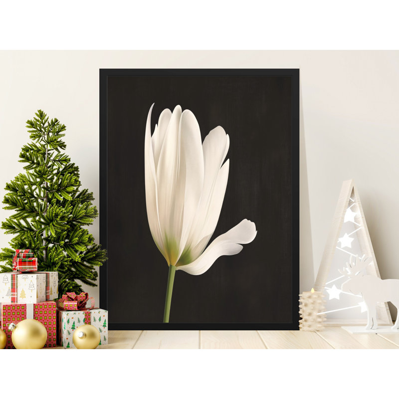 Comeaux Single Picture Frame Print, 91.44 cm H x 60.96 cm W
