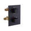 Shower Valve-79789628