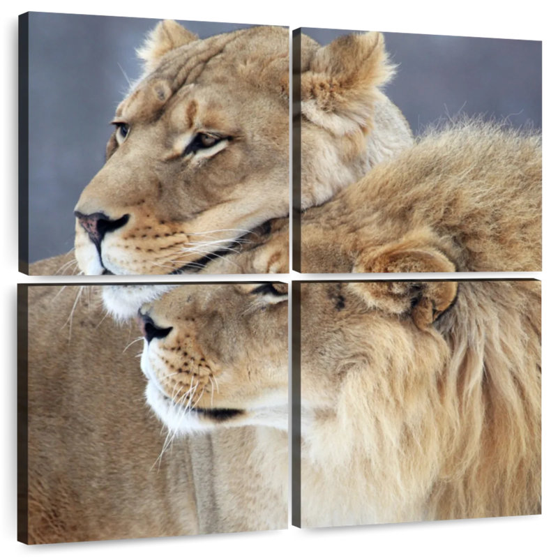Brampt Lion And Lioness Love, 38" H x 38" W