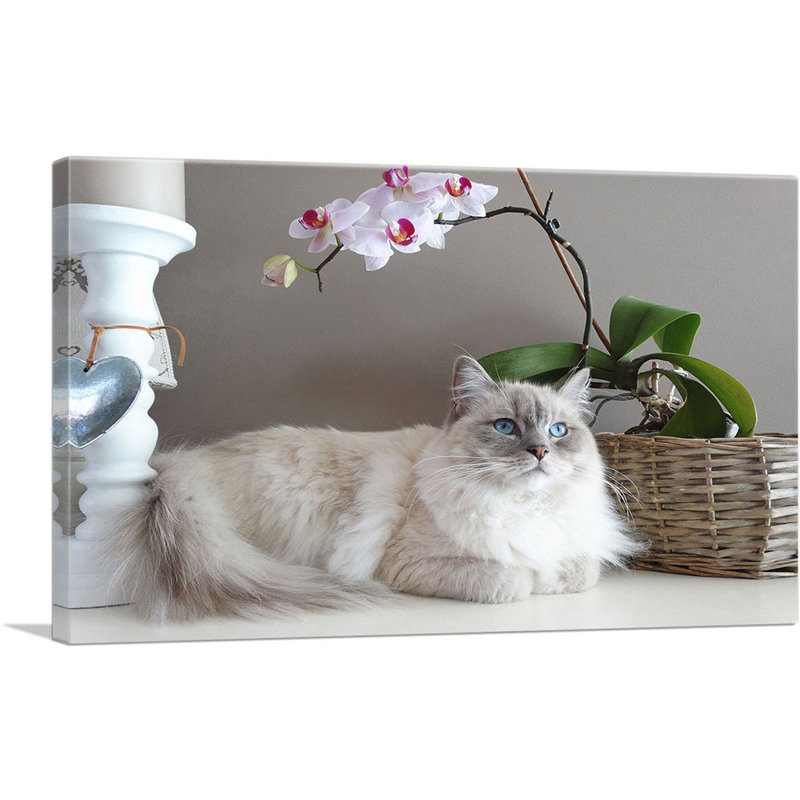 Ragamuffin Home Decor - Reproduction de photo sur toile tendue, H 12 po x l 18 po x 1,5 po