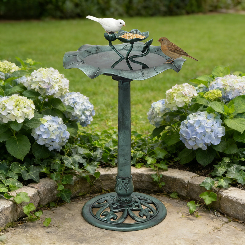 Bain d'oiseaux en polypropylène, Vert