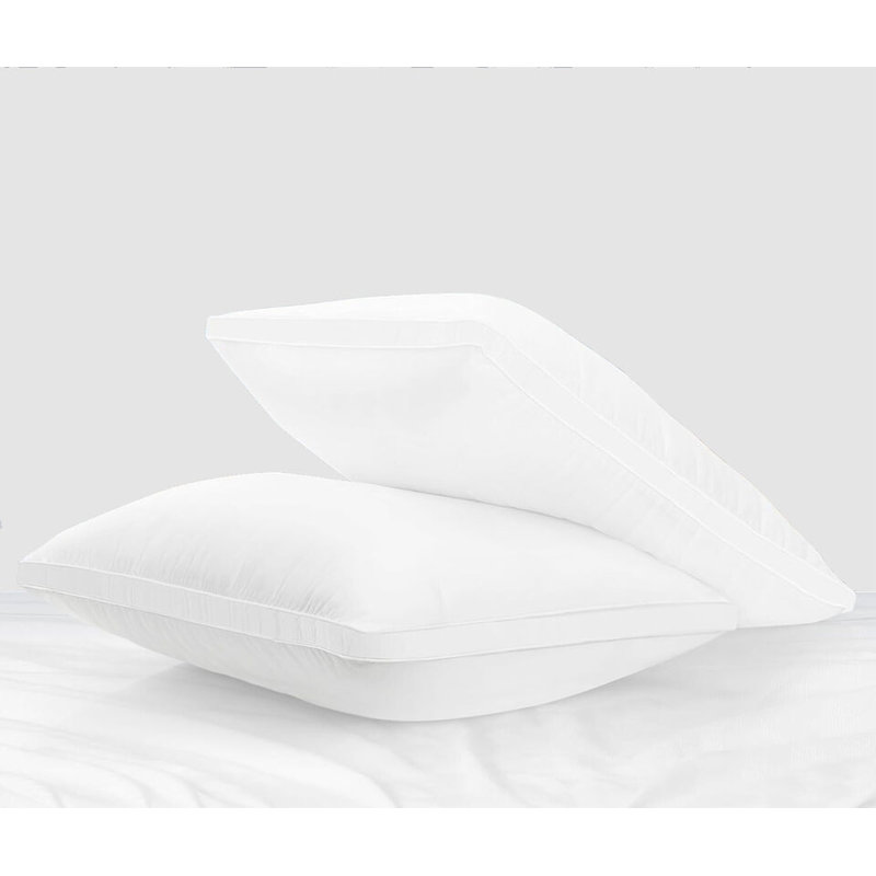Polyester L75 x W50cm Extra Plush Support Pillow (Set of 2), White