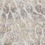 Wilbraham Abstract Area Rug-39958195
