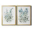 «Delicate Blue Botanical I», ensemble de 2 reproductions d'art sur toile encadrées-61455396-61455398
