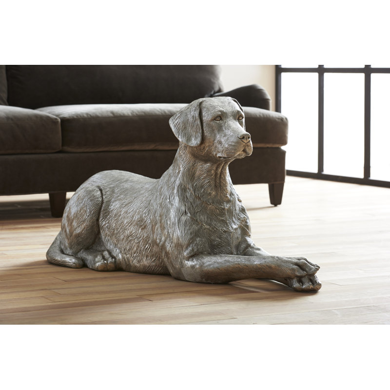 Labrador, Laying