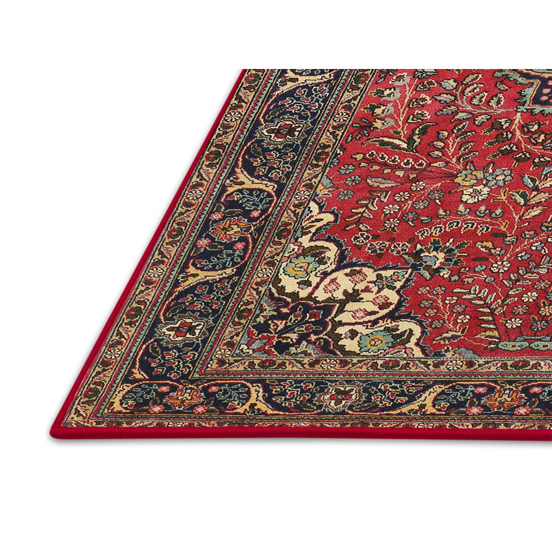 Ami Oriental Indoor Rug, Rectangle 8' x 10'
