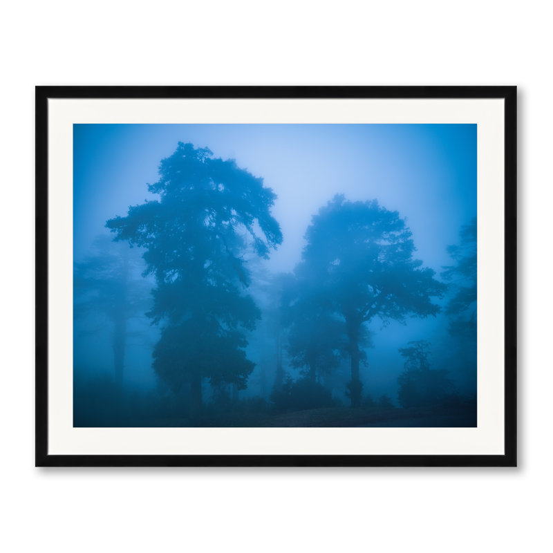 Trees In Himalayan Fog Print by Mark Paulda, Black Framed Paper, 24" H x 30" W