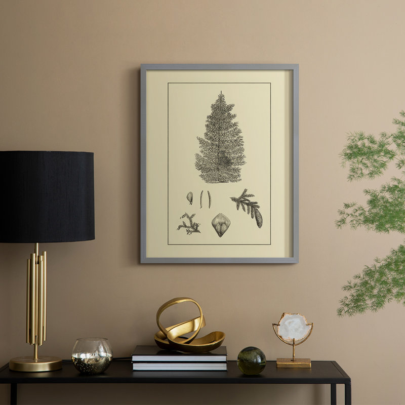 Arbor Study I, reproduction encadrée - bois massif, Gris, H 11 po x l 9 po