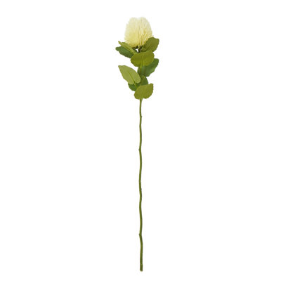 Arrangement