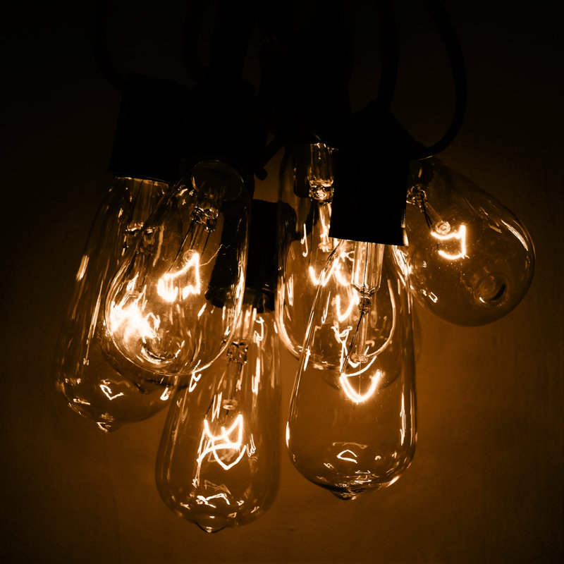 Edison String Lights Outdoor 50 - Bulb Plug-in String Light, Black