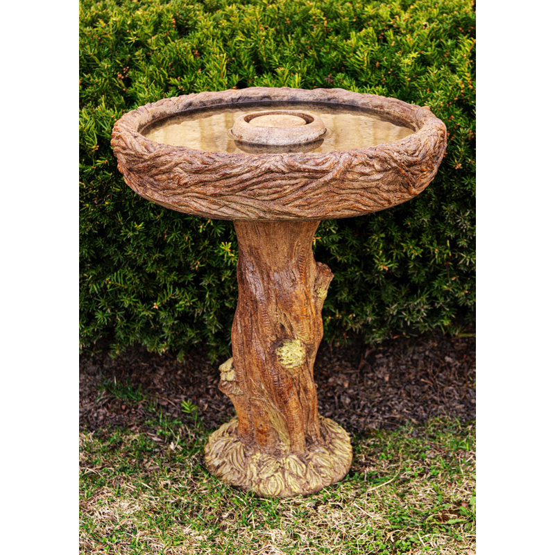 Birds Nest Birdbath