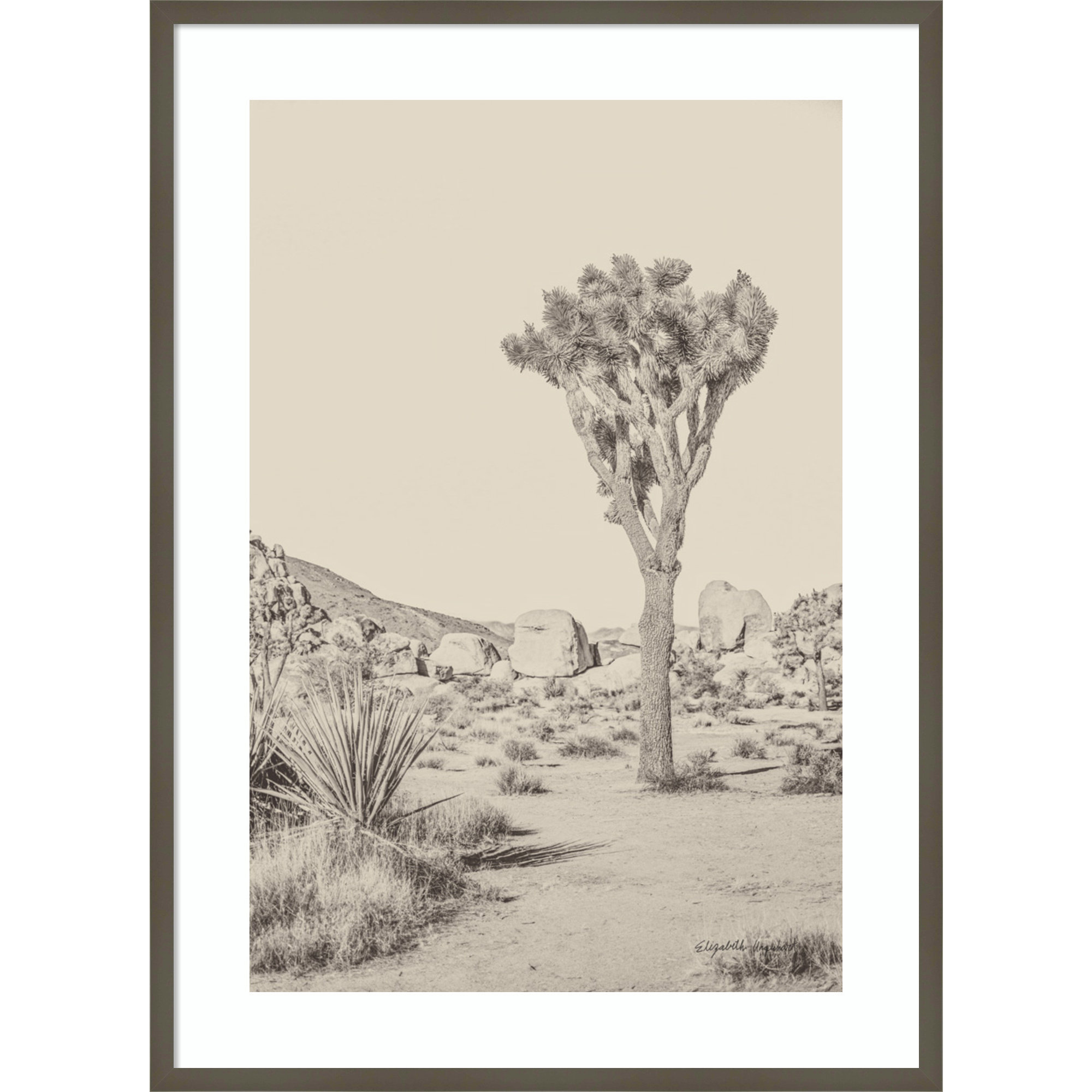 Joshua Tree III Neutral by Elizabeth Urquhart, 41" H x 30" W, Gray Framed