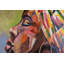 Hand -painted acrylic painting Head Up