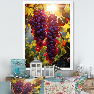 " Sunset On Vineyard In Rhones "