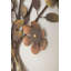 Décoration murale fleur en métal avec cadre