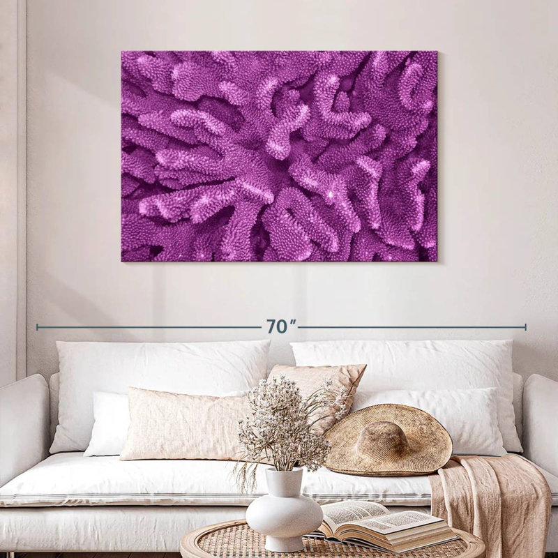 Crowle Purple Acropora Corals