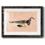 Feathered Friend IV, reproduction d'art encadrée-810855312-810855313