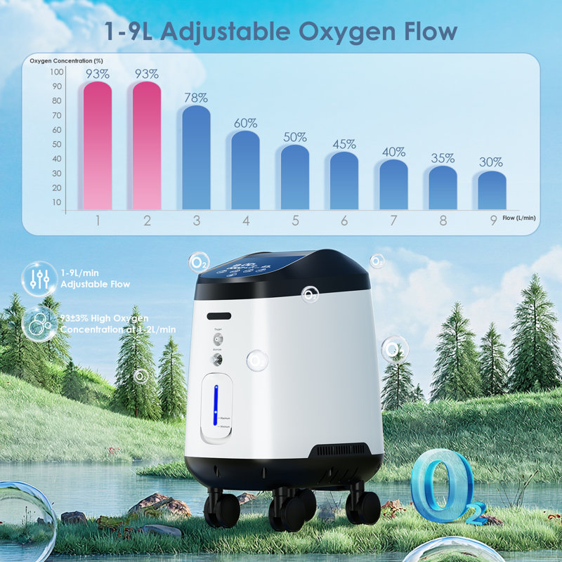 Appareil Home 2L 90% avec générateur d'oxygène, continuos réglables 1-9L avec roulettes mobiles