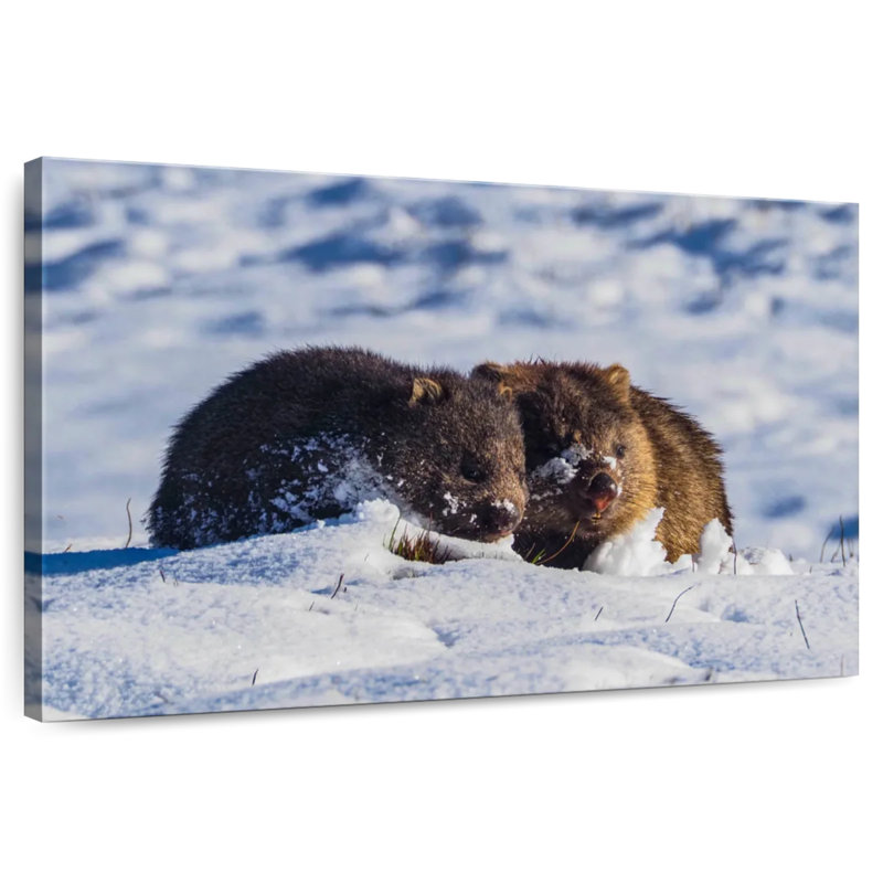 Winter Wombats, 8" H x 12" W