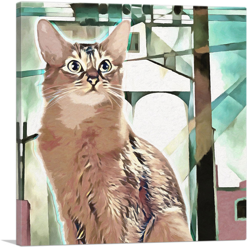 «Somali Cat Breed on the Street», impression sur toile tendue, H 12 po x l 12 po x P 1,5 po