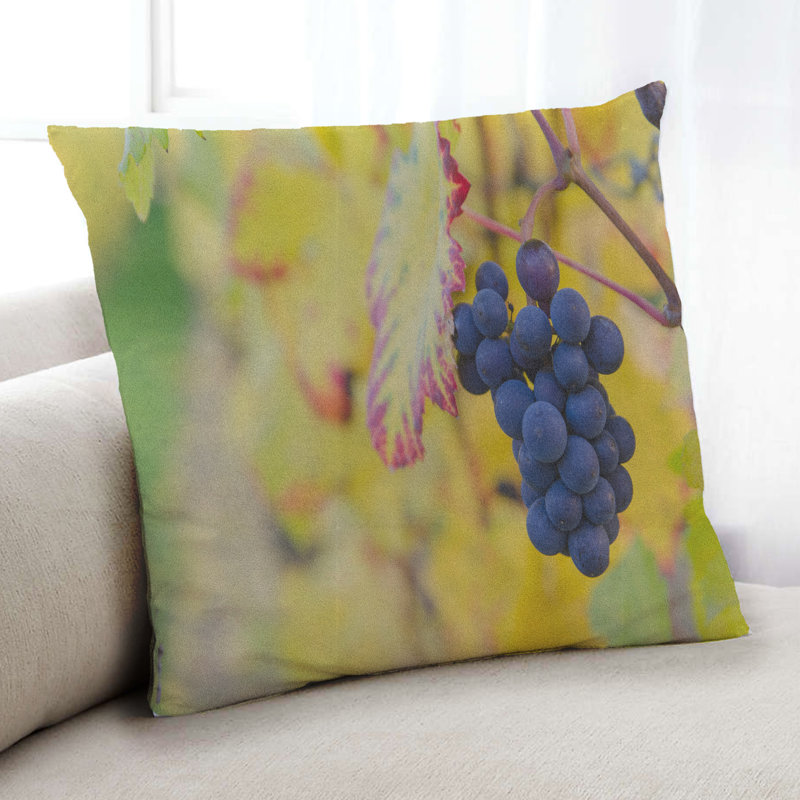 Coussin Foods Fruits, Synthétique