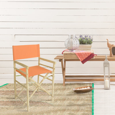 Laseter Folding Director Chair by Bay Isle Home