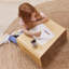 ECR4Kids Bentwood Lap Desk with Handles, Activity Table-104944344