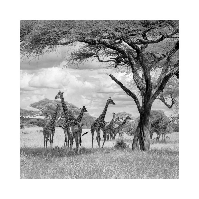 The Tower! by Ali Khataw - Wrapped Canvas Print, 45.72 cm H x 45.72 cm W x 1.91 cm D