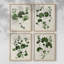 «Forest Foliage on Linen I», reproduction encadrée - ensemble de 4-1249868156-1249868159