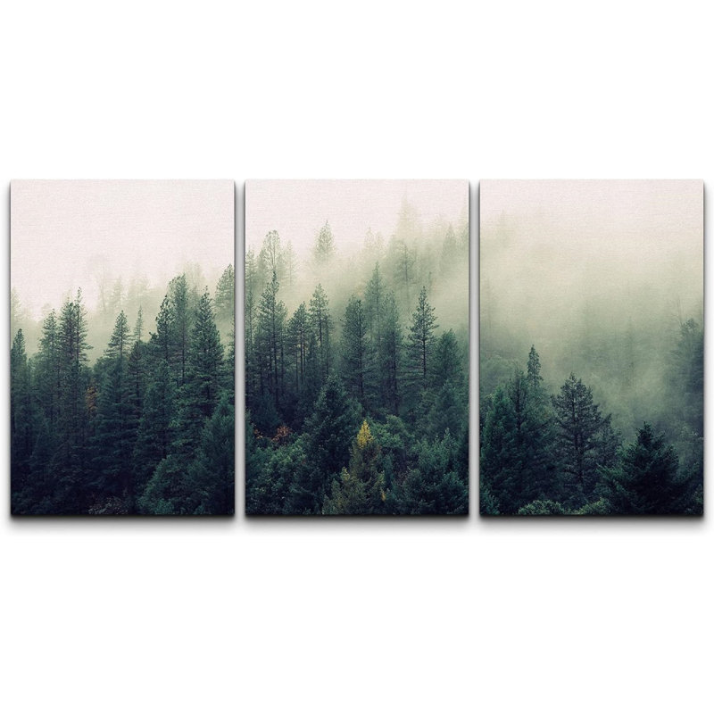 Landscape with Trees in Mist - 3 Piece Canvas Photograph Print Set, Wrapped Canvas, 36" H x 24" W