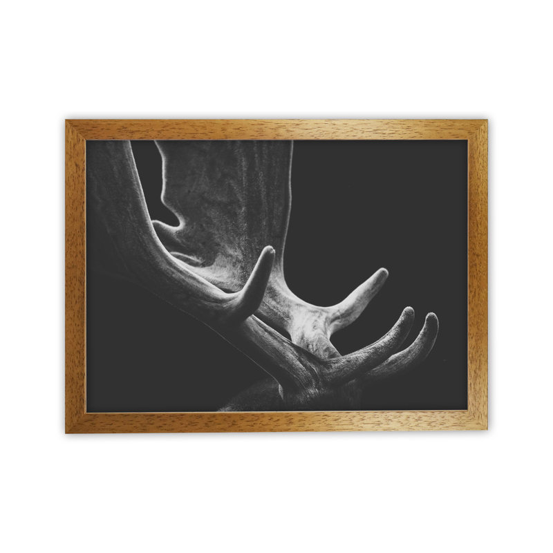 Antlers by Victoria Frost - Print, 25cm H x 34cm W x 3cm D, Oak Framed
