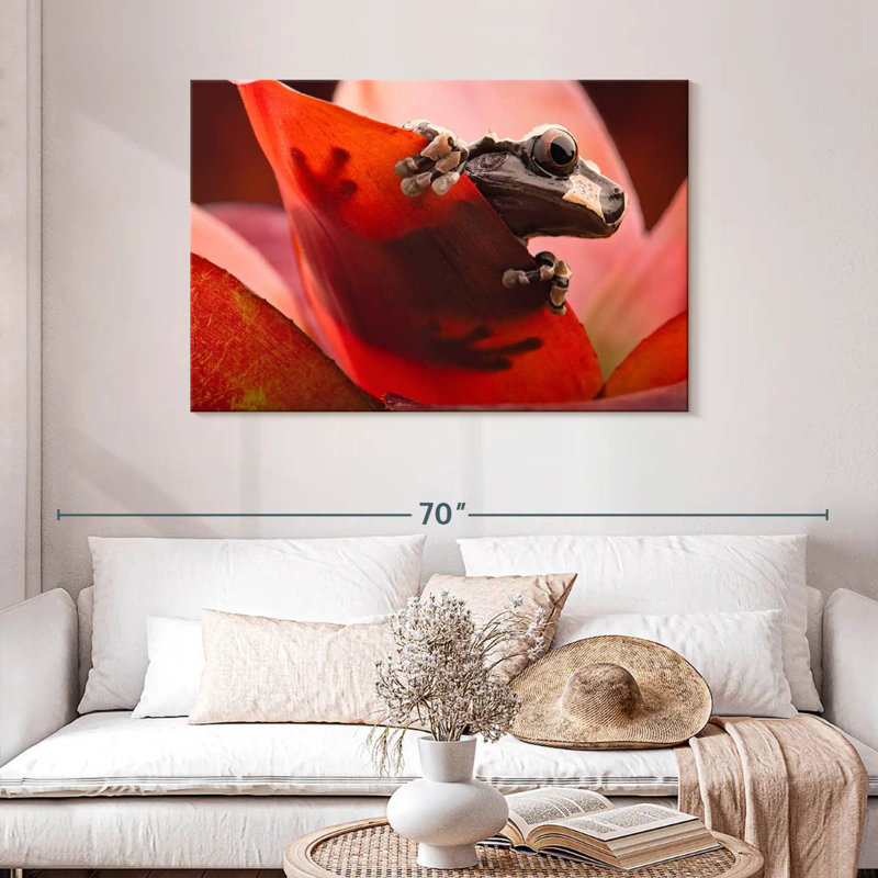 Brampt Amazon Tree Frog, 30" H x 45" W