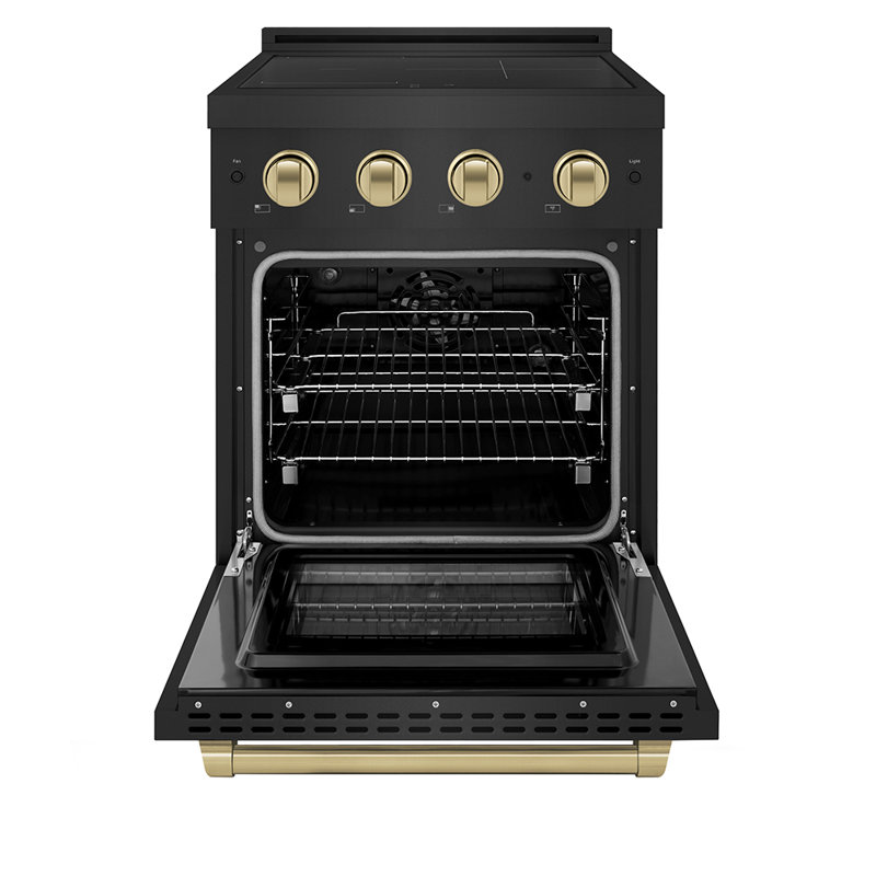 ZLINE Autograph 24 in. Black Stainless Paramount Induction Range with Polished Gold Accents, Champagne Bronze