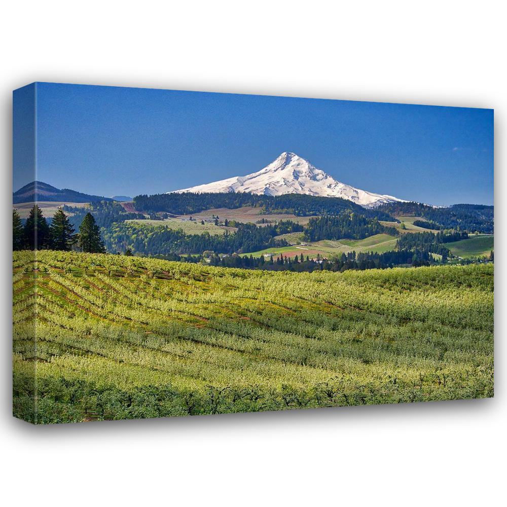 Alcott Hill Eggers, Julie Art USA, Oregon. Mt. Hood in the distance