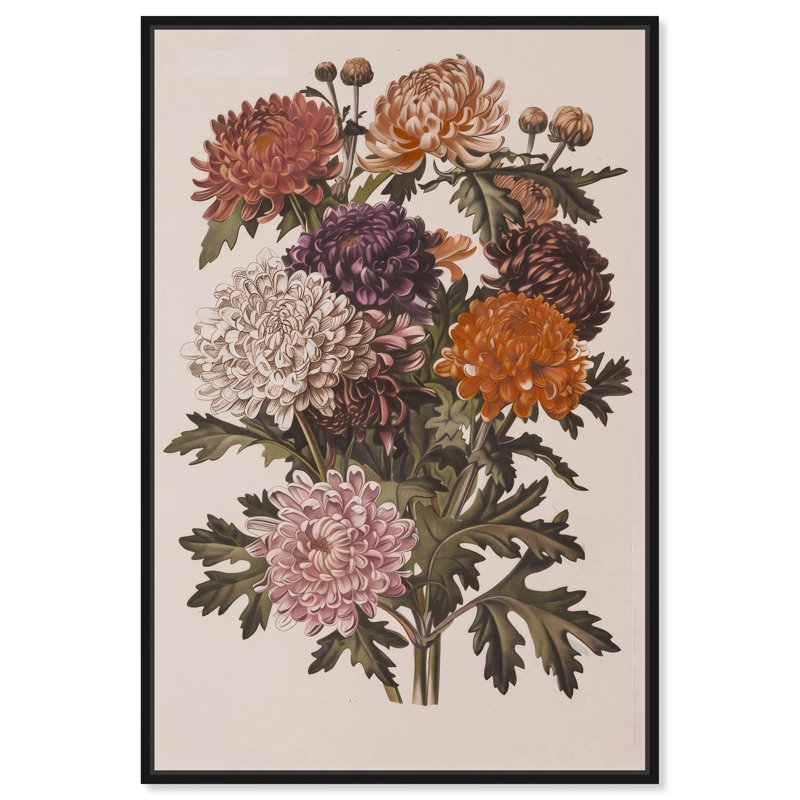 Art, art floral, nature morte, toile, Cadre flottant noir, H 16 po x l 11 po