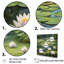 Magical Lotus Lily Pad Pond - Impression sur toile encadrée Lotus-1826305104-1826305105